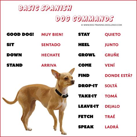 spanish word for 6|spanish word for small dog.